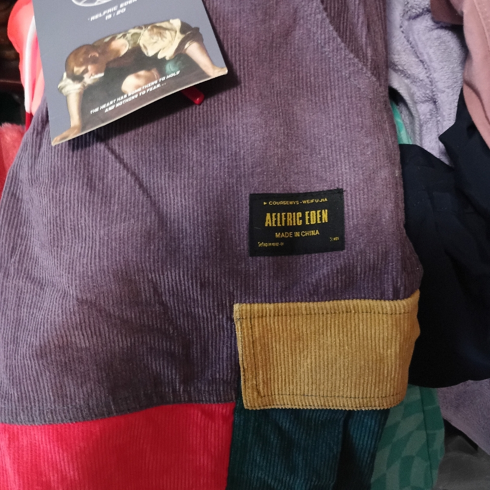 Aelfric Eden Multicolor Corduroy Pants